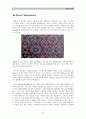 Quasicrystal 8페이지