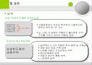 삼성반도체 마케팅 성공전략 (발표 에뿔) 18페이지