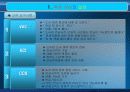 식스시그마 프로젝트 25페이지