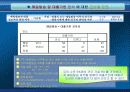 식스시그마 프로젝트 46페이지