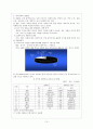 중국의 해외투자 10페이지