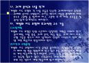 개별화 지도 모형 17페이지