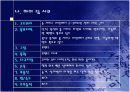 개별화 지도 모형 29페이지