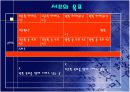 개별화 지도 모형 33페이지