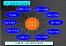 비만에 있어 운동(스포츠)의 효과 18페이지