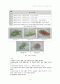 소결조제에 의한 Alumina coloring 실험 보고서 11페이지