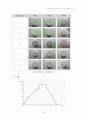 소결조제에 의한 Alumina coloring 실험 보고서 12페이지