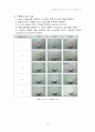 소결조제에 의한 Alumina coloring 실험 보고서 13페이지