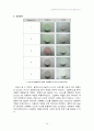 소결조제에 의한 Alumina coloring 실험 보고서 14페이지
