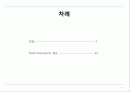 진공 이란 2페이지