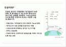 진공 이란 3페이지