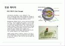 진공 및 진공펌프 진공게이지 30페이지