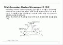 FIB (Focus Ion Beam) 에 관한조사 8페이지