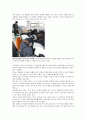 청소년 성적 비행의 증가와 성교육 대처안 5페이지