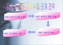 ERP도입의 성공 실패 요인 4페이지