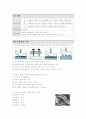 미술 수업지도안 < 표현 - 판화로 표현하기 > 6페이지