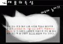 패션코디북 사업계획서 4페이지