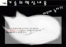 패션코디북 사업계획서 5페이지