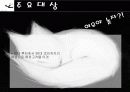 패션코디북 사업계획서 8페이지