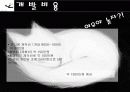 패션코디북 사업계획서 17페이지