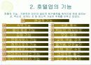 호텔업에 대하여 4페이지
