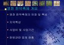 지역별축제개선방안 4페이지