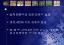 지역별축제개선방안 6페이지