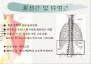 치료적 마사지(허리부 근육의 기시 정지 작용 신경지배 및 혈관공급) 9페이지