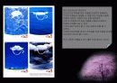 광고 성격별 분류 및 분석 9페이지