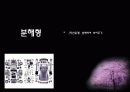 광고 성격별 분류 및 분석 28페이지