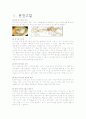 Tympharoplasty withmastoidectomy L)M&T 케이스 1페이지