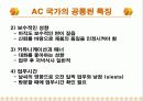 AC (안데스 공동시장) 이란 무엇인가? 23페이지