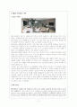 21세기 미래의 마케팅 트랜드(싱글, 엔터테인먼트, 감성, 문화, 웰빙 마케팅) 17페이지