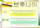 ASEAN 의 정의와 각나라의 문화적특징 22페이지