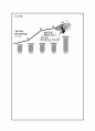 봉화군의 축제 브랜드 활성화 방안-봉화송이축제, 봉화은어축제 중심- 35페이지