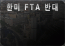 한미 FTA의 부정적인 입장 1페이지