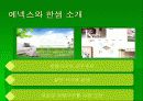 에넥스와 한샘 비교분석 4페이지