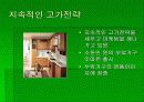 에넥스와 한샘 비교분석 10페이지