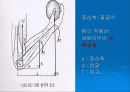 토크의 정의 10페이지