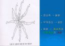 토크의 정의 15페이지