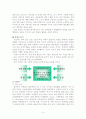 까르푸 글로벌 국제 경영 분석 14페이지