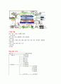 한솔 CSN 기업분석& 앞으로 성장방향 25페이지