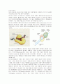 PCR (polymerase chain reaction)과 DNA replication 2페이지