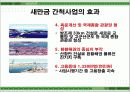 새만금 사업 11페이지