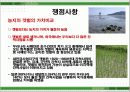 새만금 사업 18페이지