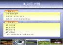 상암월드컵 경기장 소개(스포츠시설관리론) 14페이지
