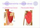 해부학 Anatomy에 대해 4페이지