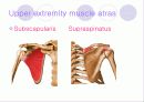 해부학 Anatomy에 대해 6페이지