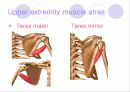 해부학 Anatomy에 대해 7페이지