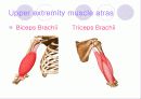 해부학 Anatomy에 대해 8페이지